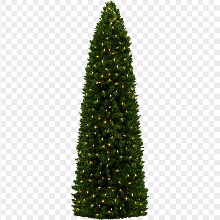 Holiday New Year Christmas Tree With Light HD PNG