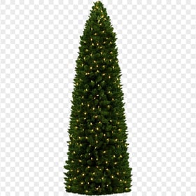 Holiday New Year Christmas Tree With Light HD PNG