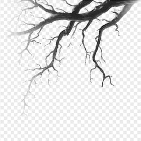 Real Halloween Horror Scary Tree Branch HD PNG