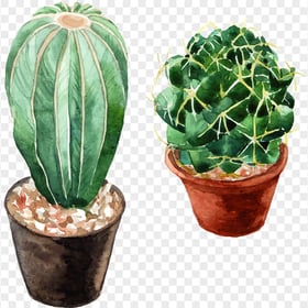 Watercolor Two Cactaceae Plants HD PNG