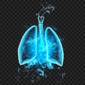 HD Blue Lungs With Smoke Transparent PNG