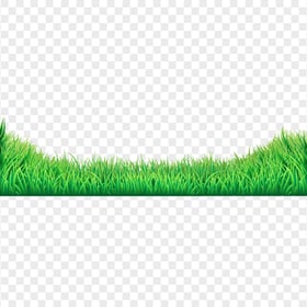 HD Realistic Green Grass Illustration PNG