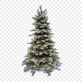 HD Simple Real Christmas Tree Palm With Snow PNG
