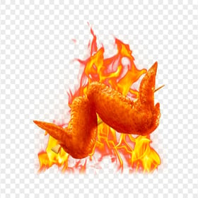 Food Roasted Chicken Wings On Fire PNG IMG