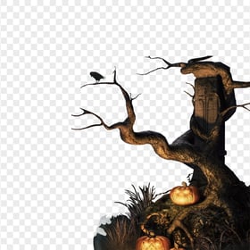 Real Halloween Tree Branch Pumpkins & Crow PNG IMG