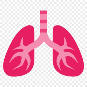 Healthy Humain Pink Lungs Respiratory Vector Icon