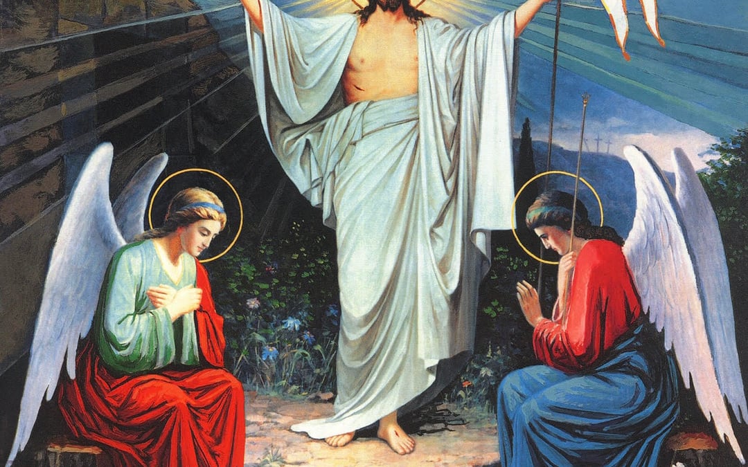 The Greatest Thing the Human BODY Can Do