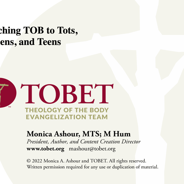 Des Moines Talks 2023: 3 Slideshows by TOBET