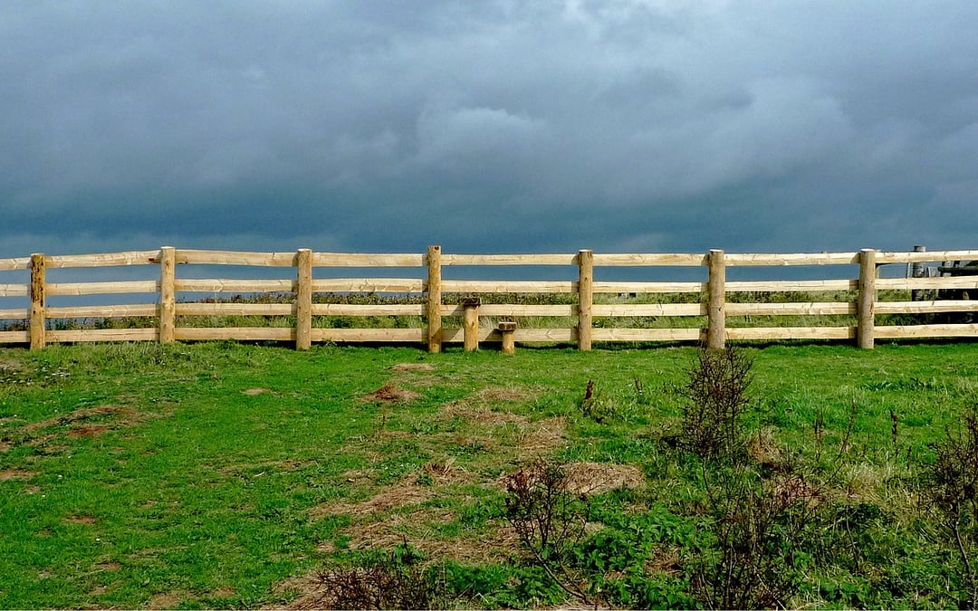 Rejoicing In Boundaries