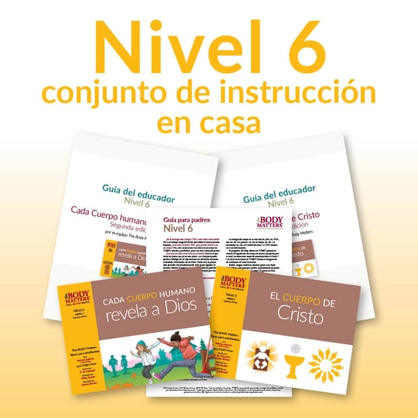 Nivel 6 conjunto de instrucción en casa