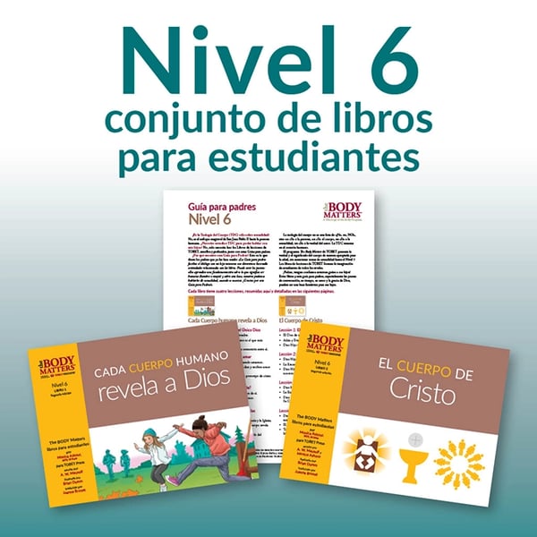 Nivel 6 conjunto de libros para estudiantes