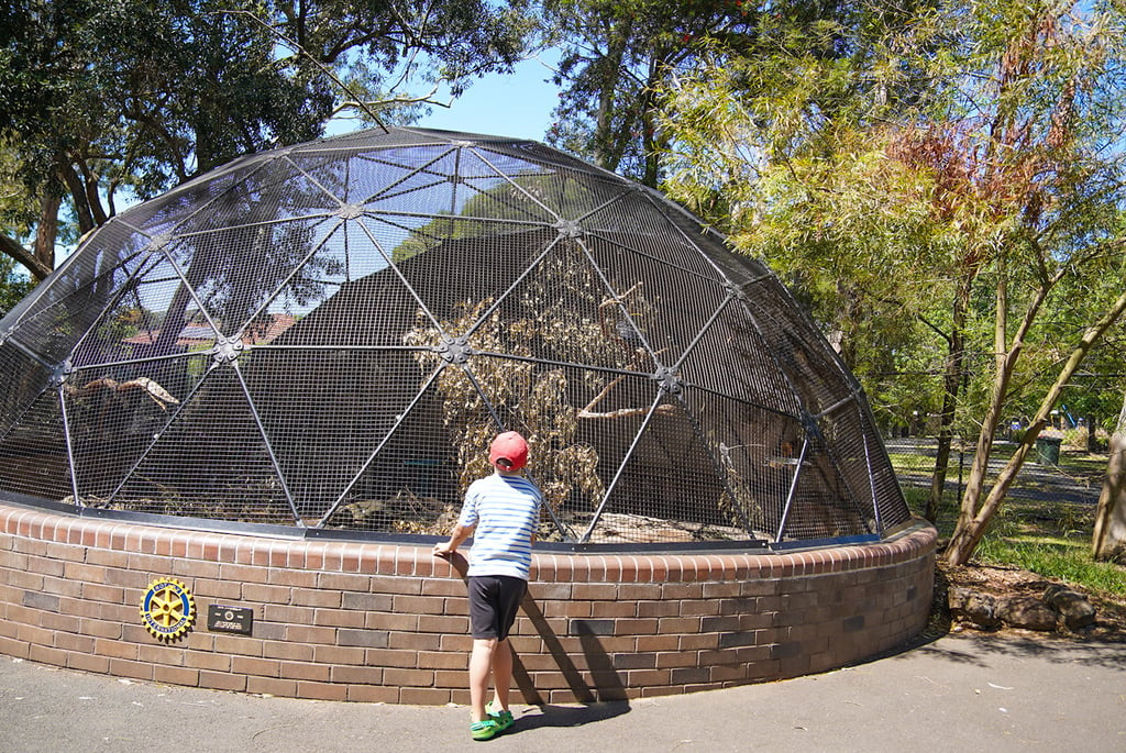 Central Gardens in Merrylands has a diverse range of native native exhibits