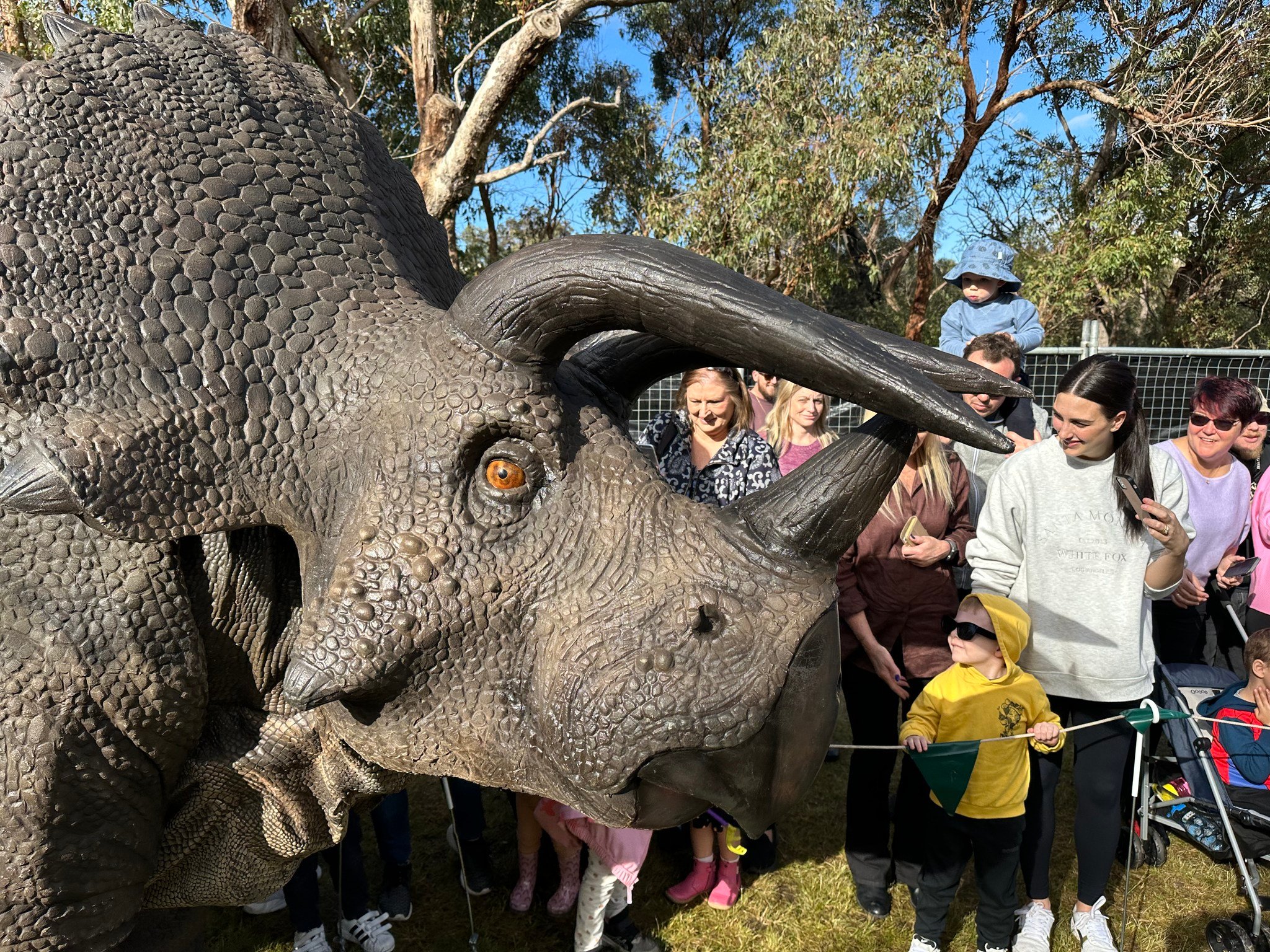 DinoFest_Triceratops