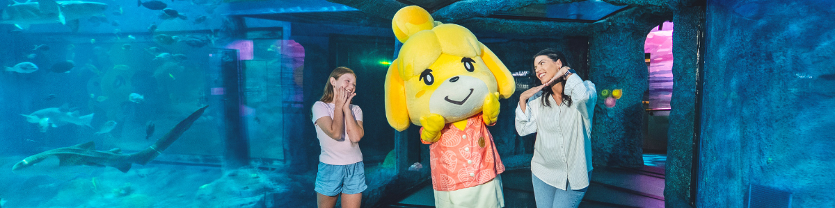 WSM_BannerImage_1200x300px