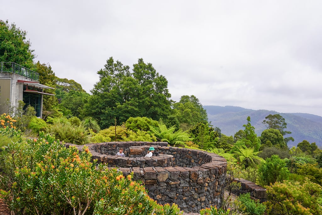 Blue Mountains Botanic Garden Mount Tomah