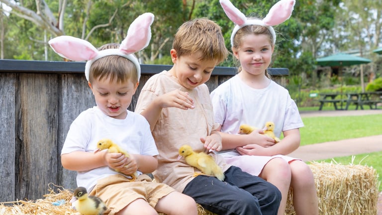 Ploddy’s Easter Fair at the Australian Reptile Park