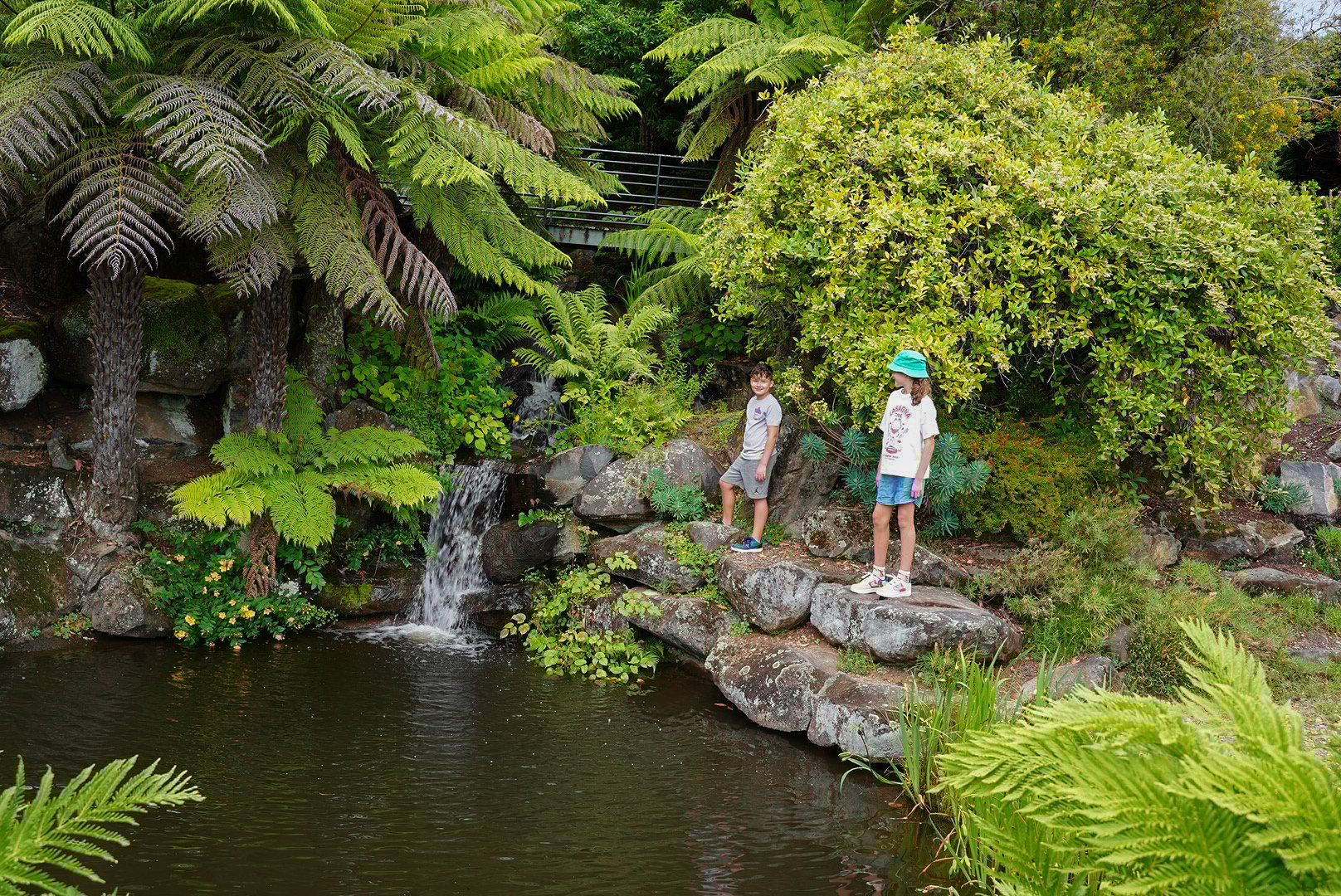 Blue Mountains Botanic Garden Mount Tomah