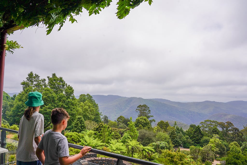 Blue Mountains Botanic Garden Mount Tomah