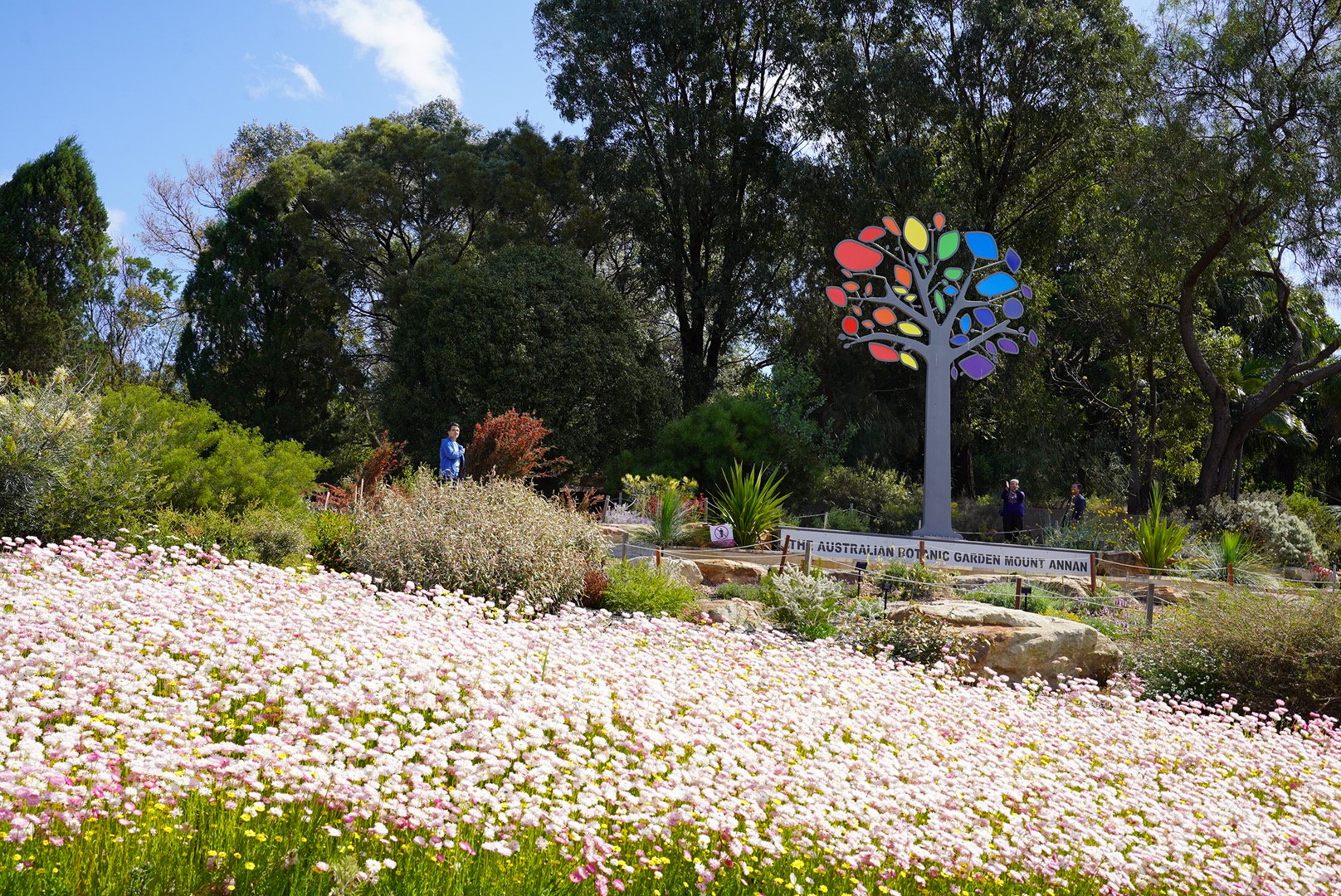 Australian Botanic Gardens Mount Annan