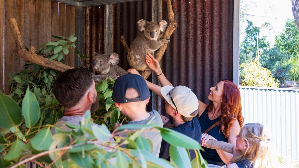 VW-Directory-Listing-WSM-website_-002