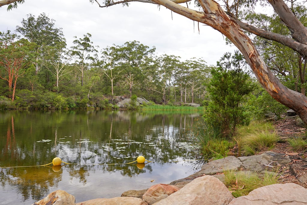 Lake Parramatta, Western Sydney