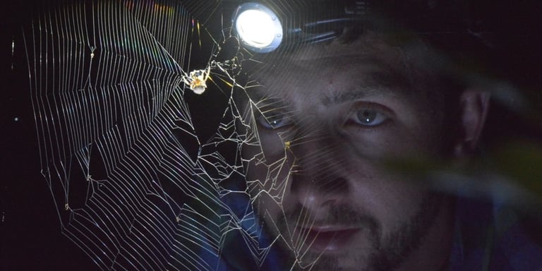 Halloween Events in Western Sydney