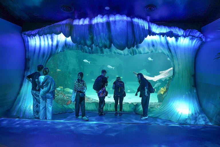 Merlin Black Friday Sale