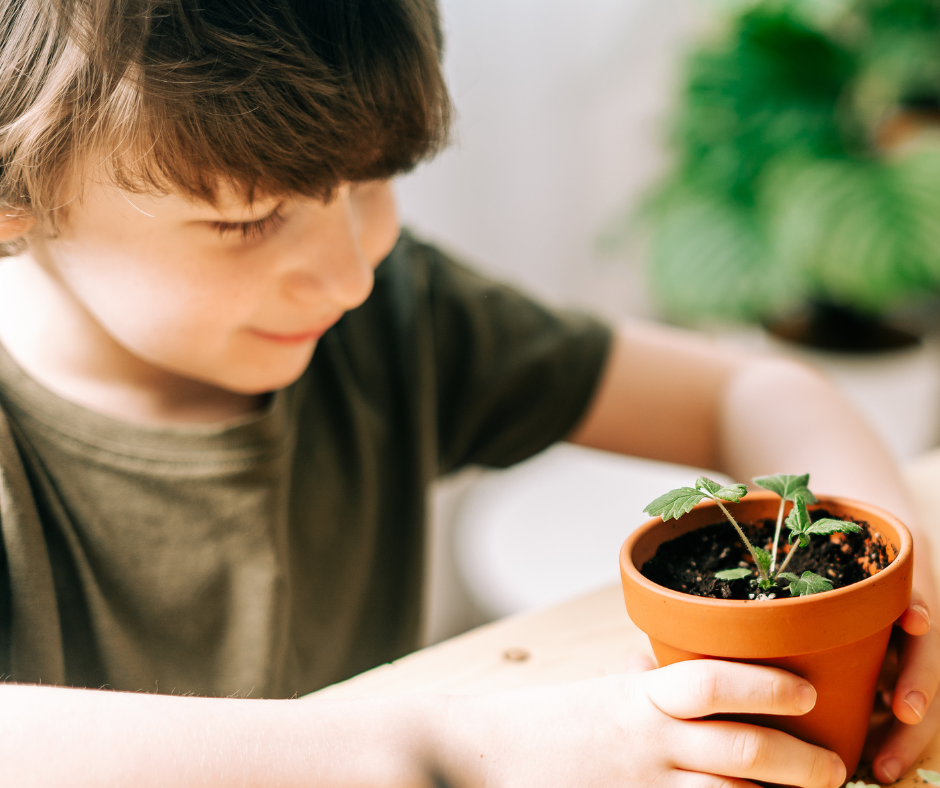 Gardening-Workshop-FB-Post-2
