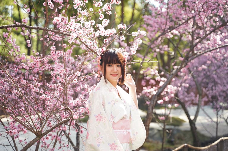 The Sydney Cherry Blossom Festival returns to Auburn Botanic Gardens