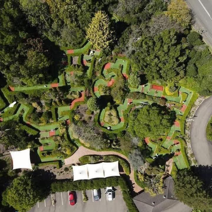 facebook_1757845650540_7372939043447641733