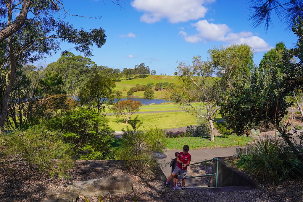 Australian Botanic Gardens - Mount Annan