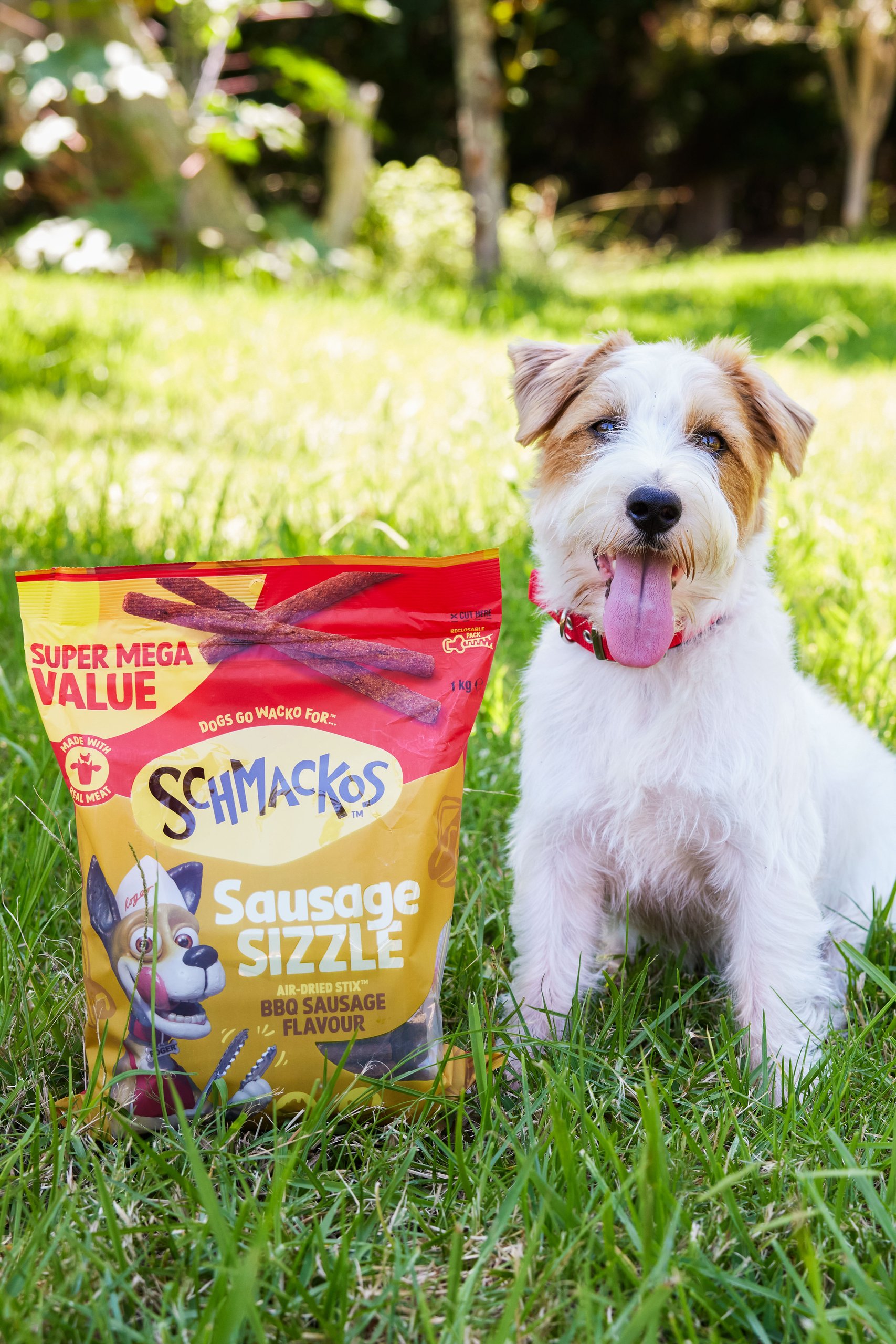 SCHMACKOS-2-scaled