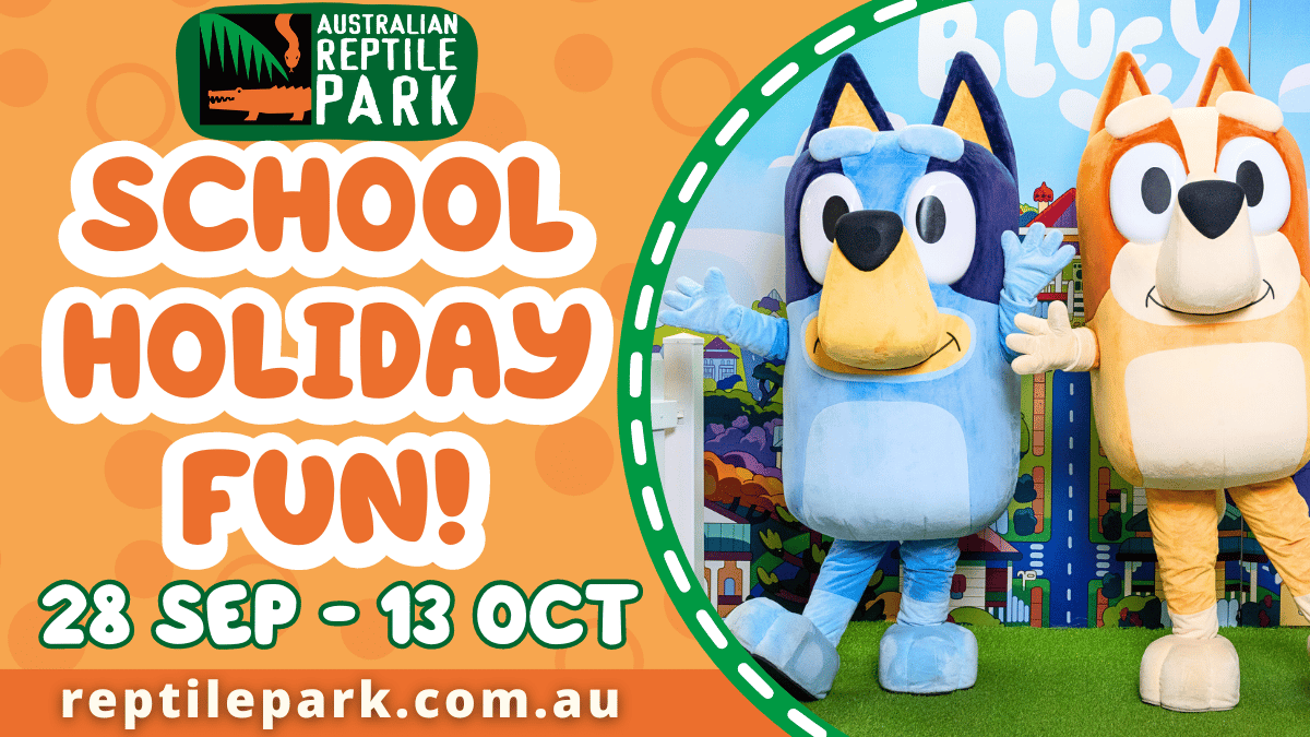 WSM-directory-listing-1200-x-675-px