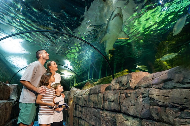 Aussie Animal Passport at Sealife Aquarium & Wildlife Sydney Zoo