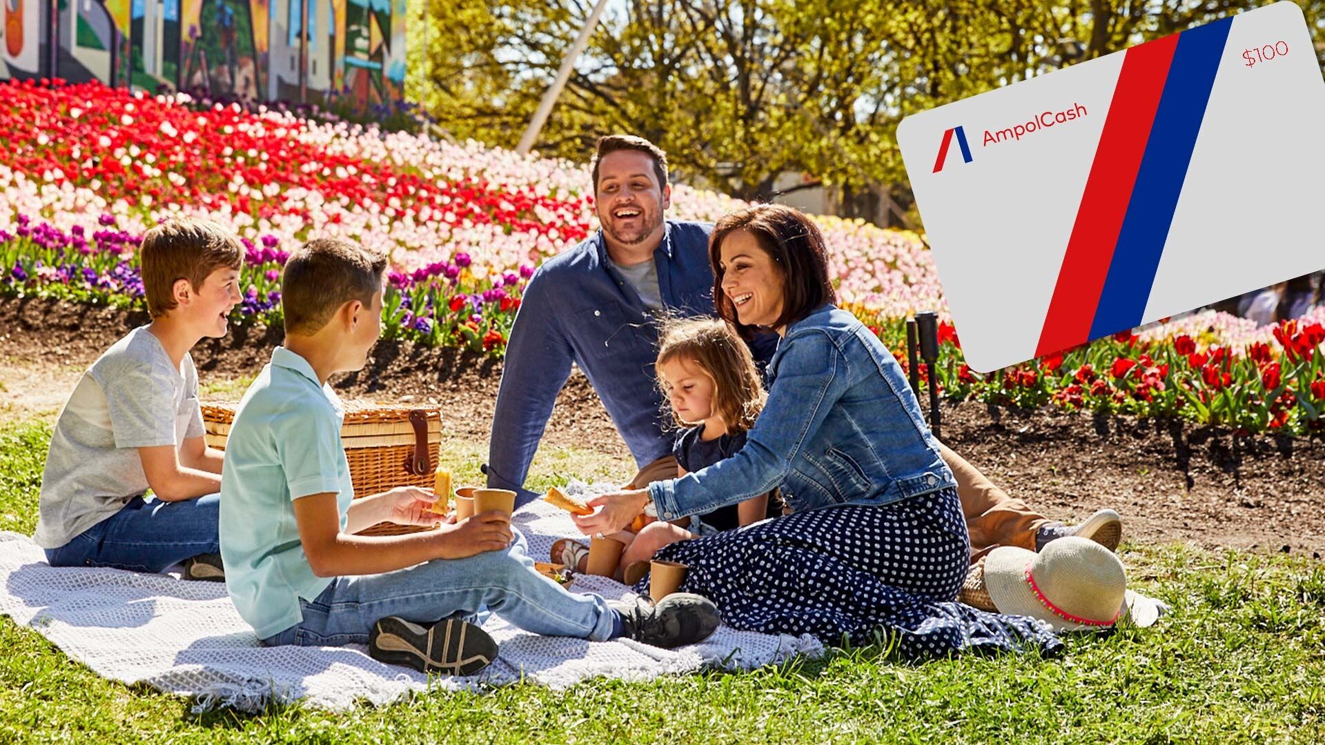 19f31eae-bbf4-4ded-8b8e-a602784eb4e2