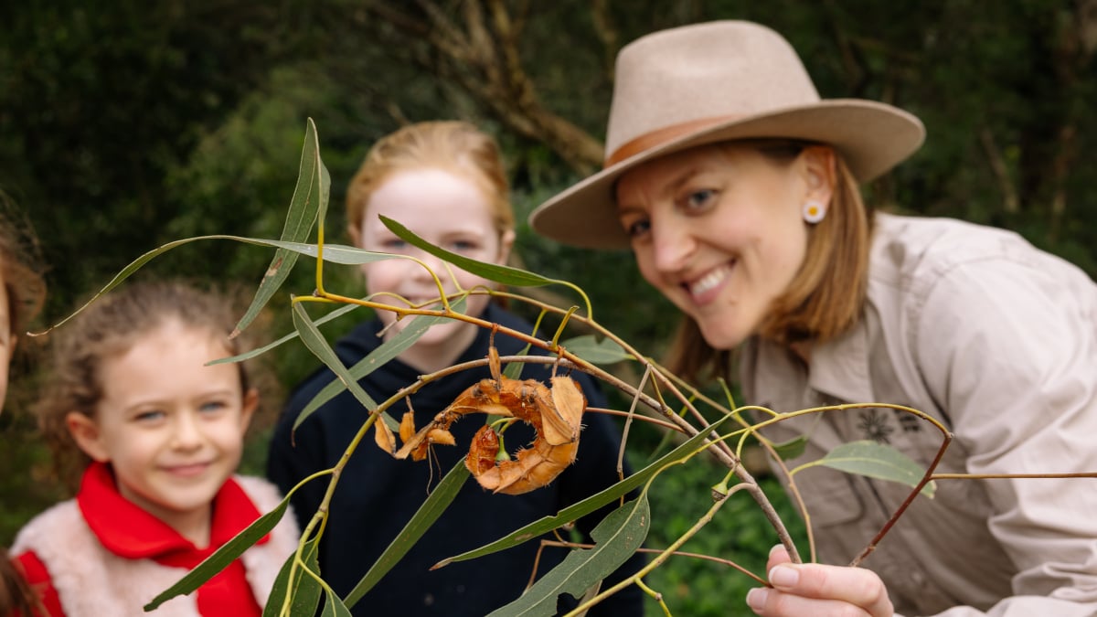 Event-Listing-Blue-Mountains-Bug-Hunt-Program-event-listing-1200x675-1