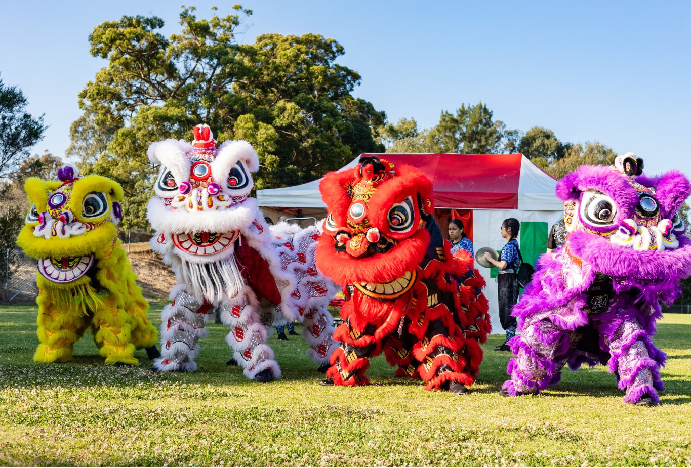 456378743_869594042014274_42588862061967195_n