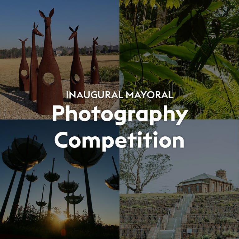 Blacktown City Council’s inaugural Mayoral Photography Competition