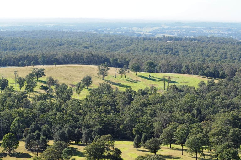 Gulguer National Park: Everything Western Sydney Families Need to Know About Our Newest National Park