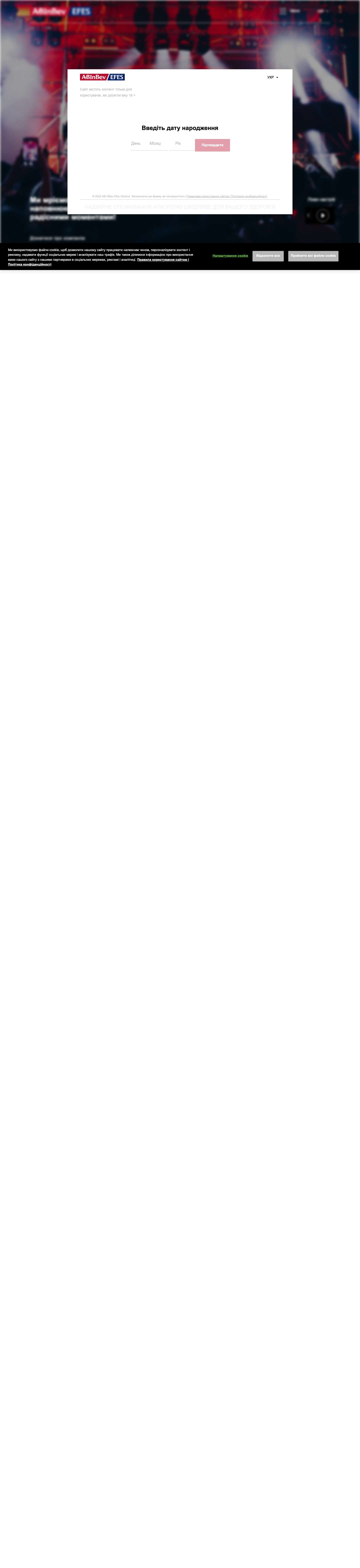 Abinbev Efes - мережа передових броварень в Україні - Full Screenshot