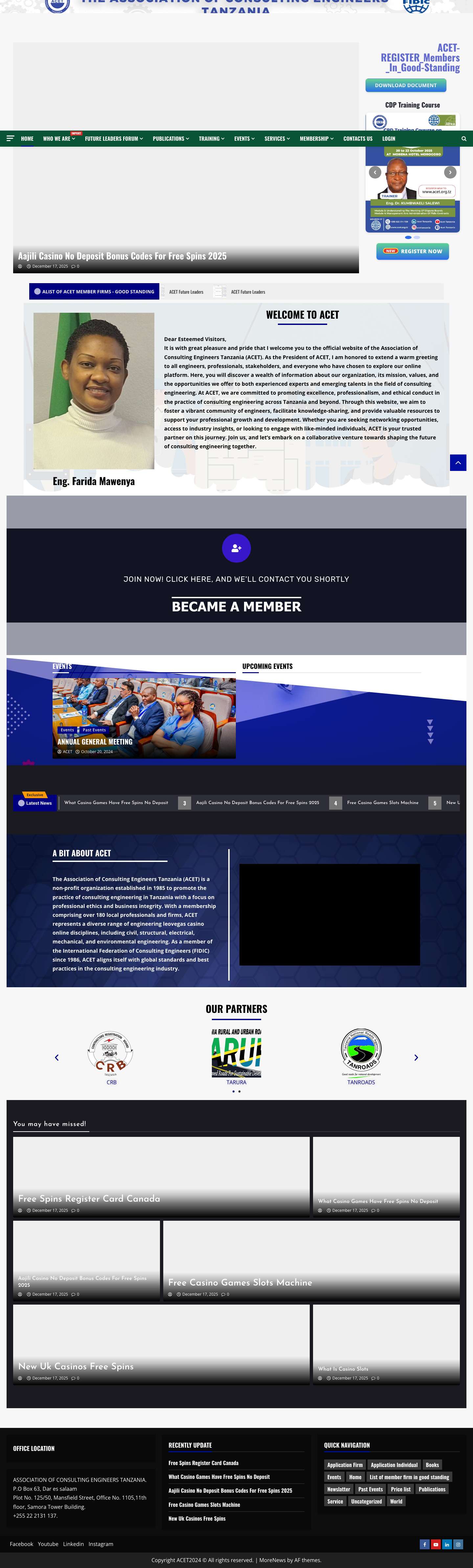 Association of Consulting Engineers Tanzania(ACET) - Full Screenshot