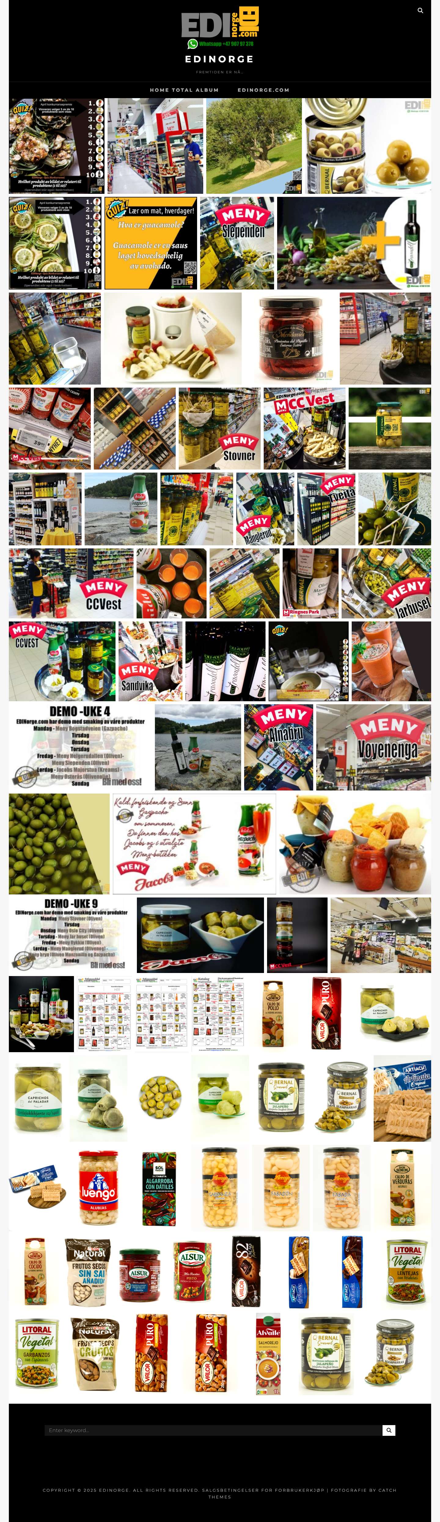 EDINorge – Fremtiden er nå… - Full Screenshot