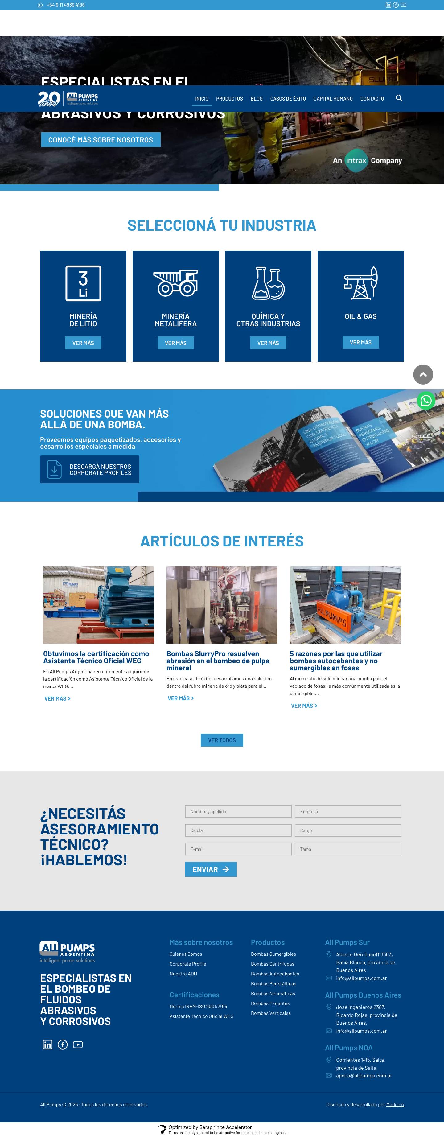 All Pumps Argentina - Especialistas en el movimiento de fluidos abrasivos y corrosivos - Full Screenshot