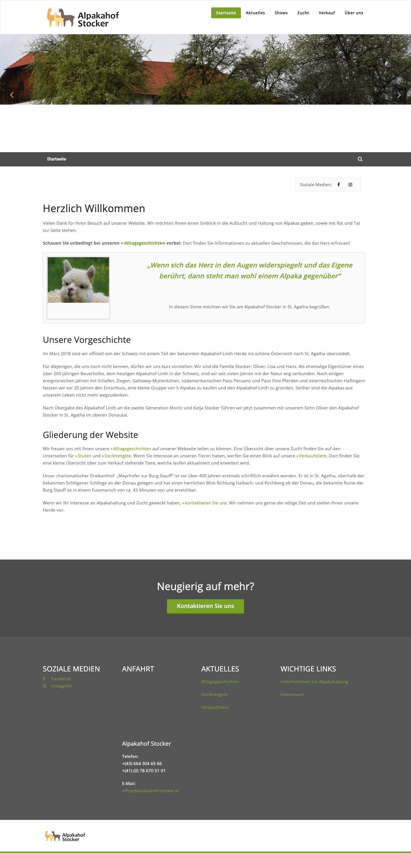 Alpakahof Stocker in St. Agatha – Ein Paradies für Alpakas und jene, die sie mögen - Full Screenshot