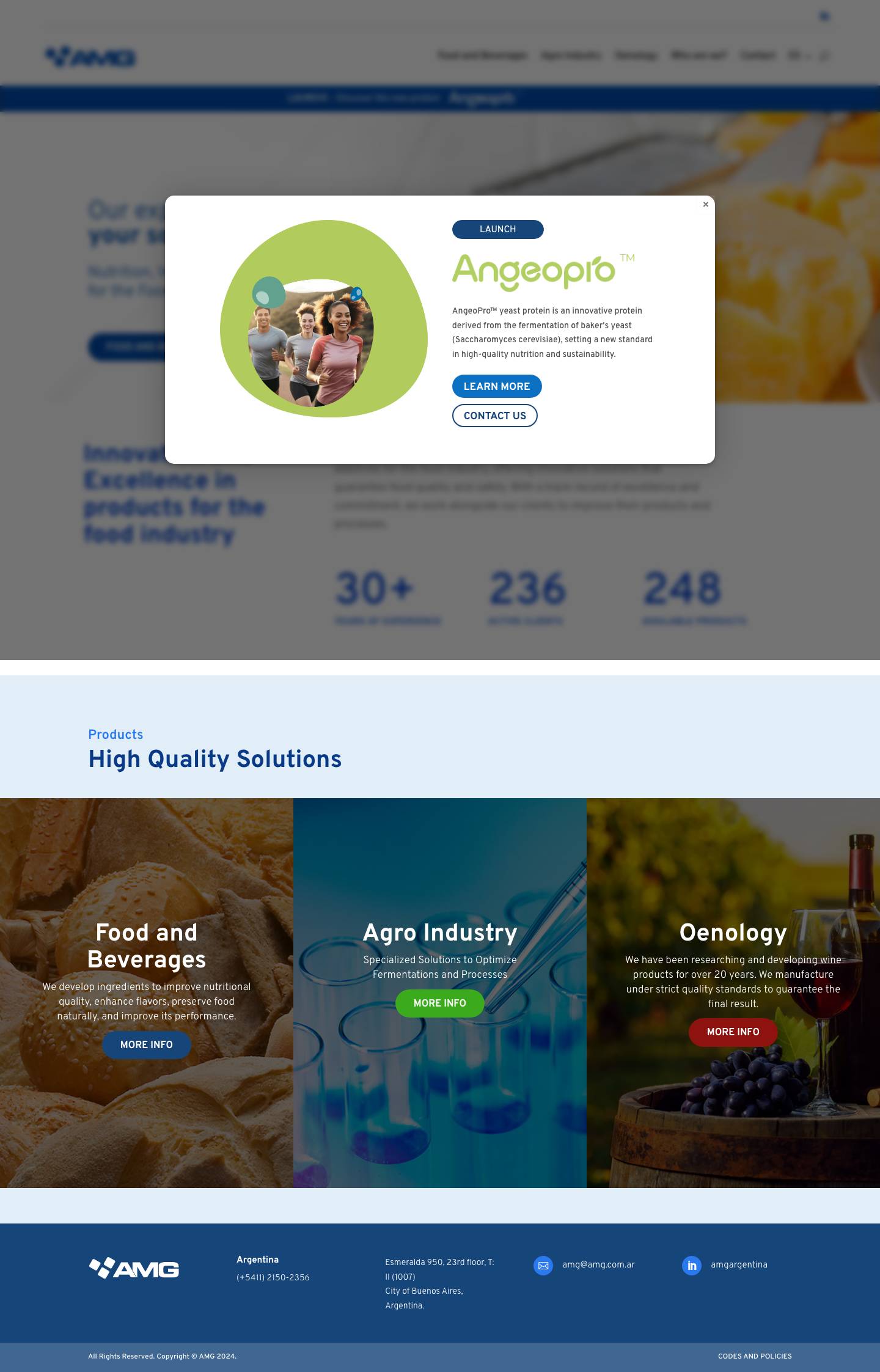 AMG - Nuestra experiencia... su solución. - Full Screenshot