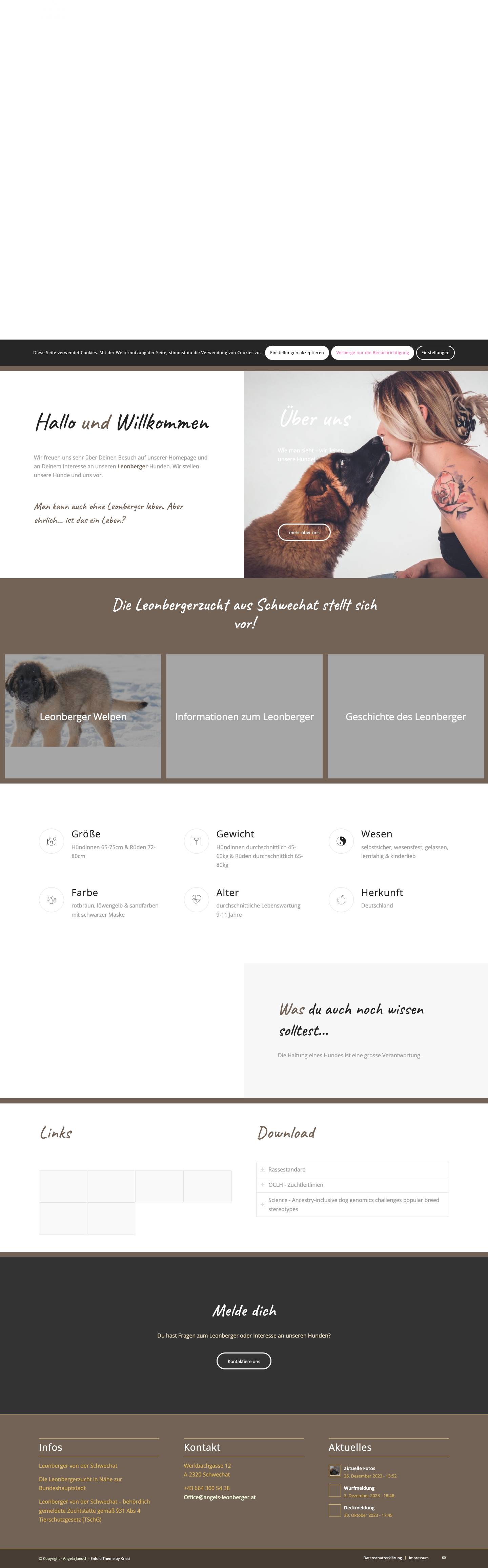 Angels Leonberger – Leonberger-Zucht in zweiter Generation - Full Screenshot