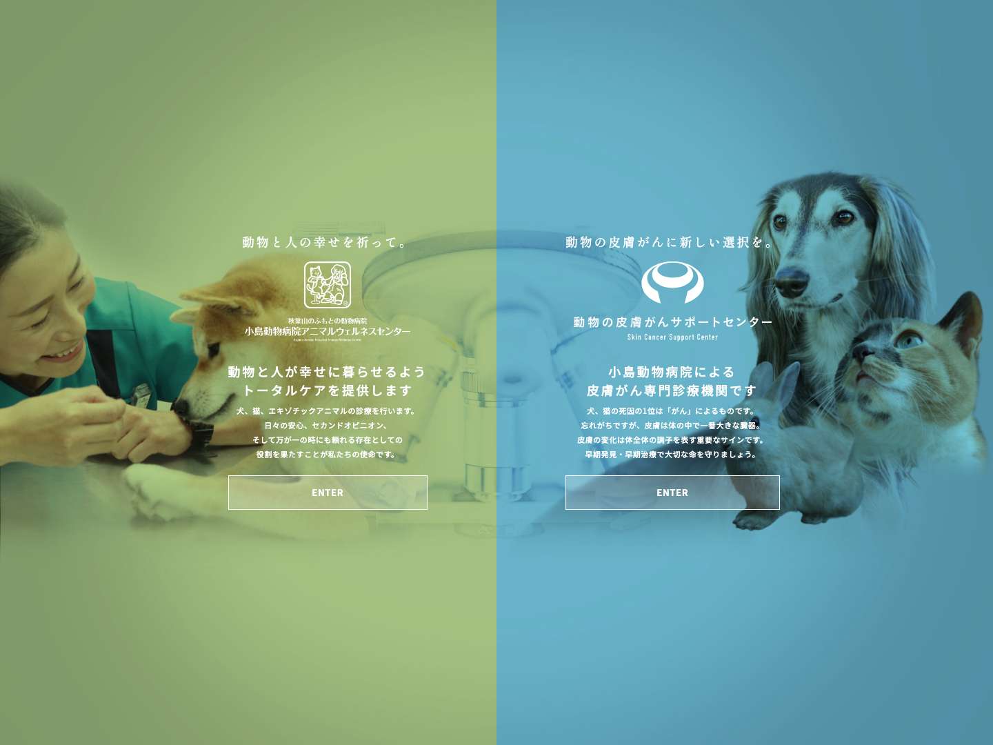 小島動物病院アニマルウェルネスセンター｜新潟市秋葉区の動物病院｜犬、猫、エキゾチックアニマル - Full Screenshot