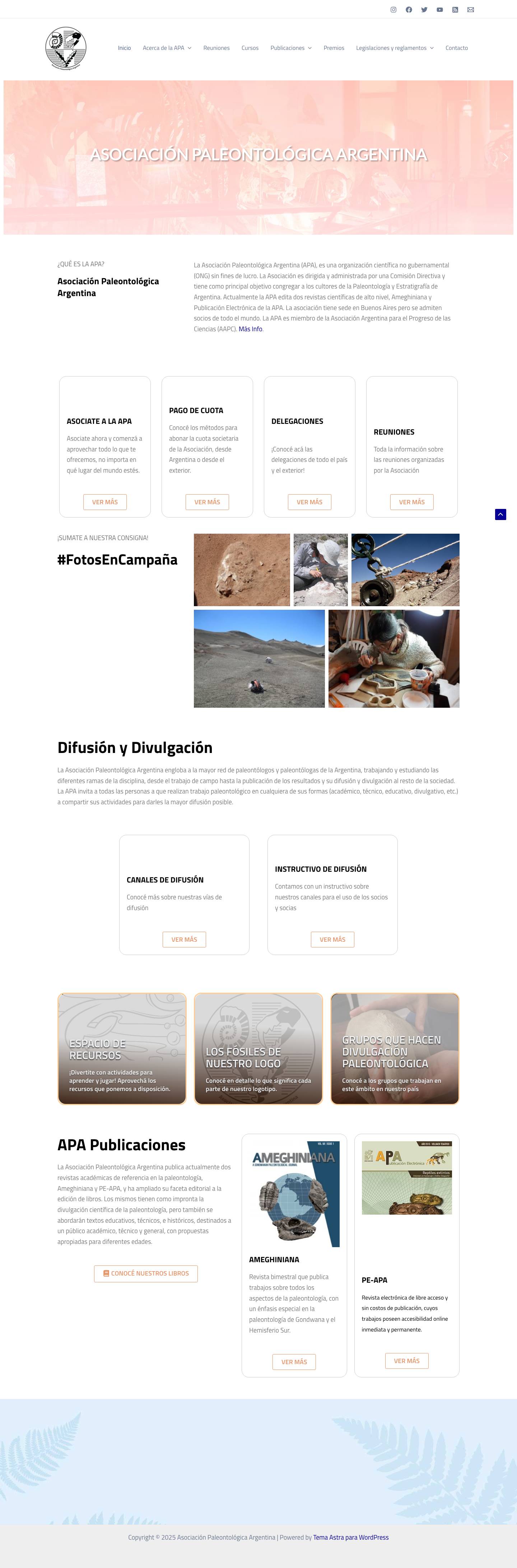 Asociación Paleontológica Argentina Email - Full Screenshot