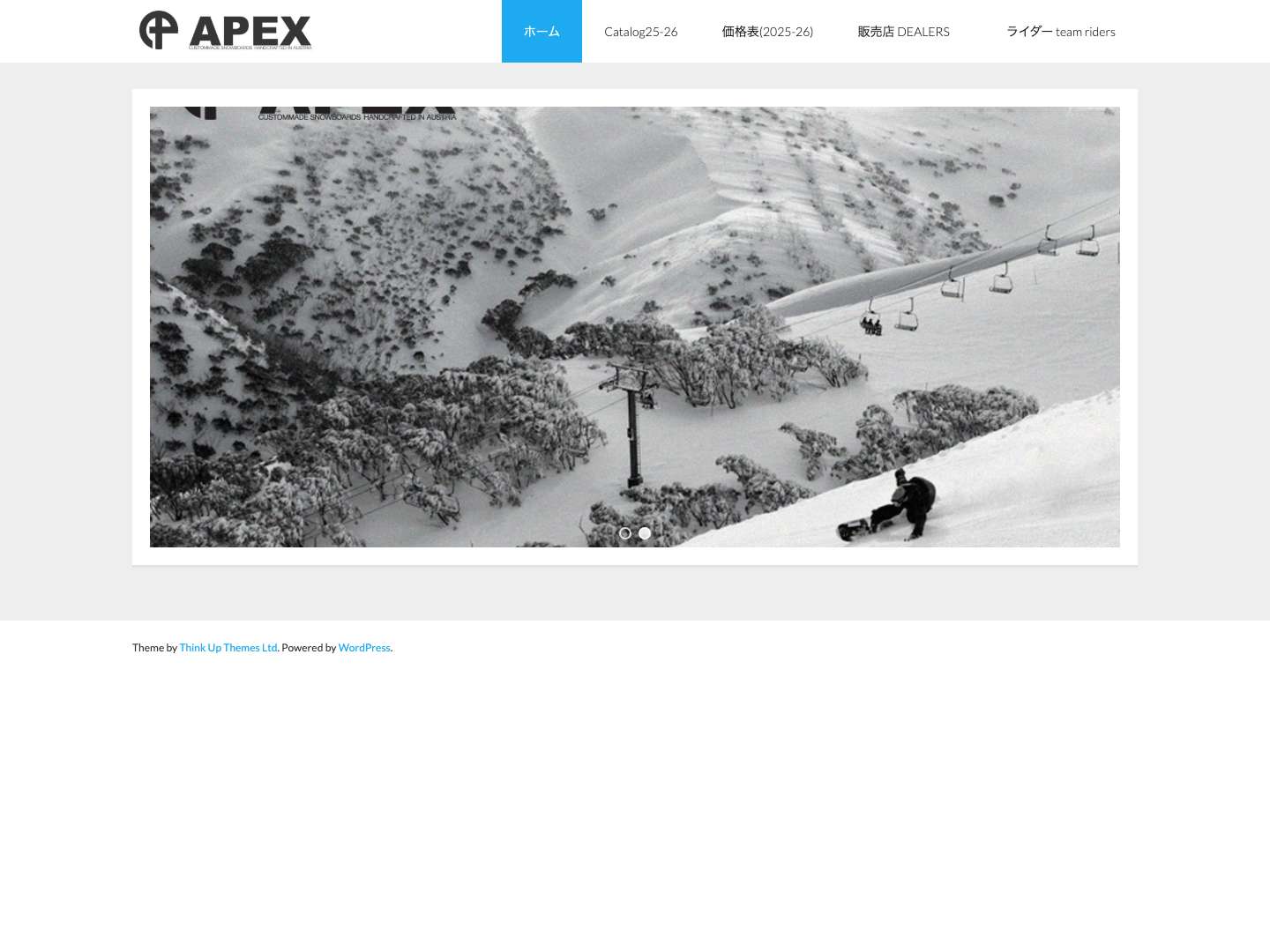 APEX CSTOM SNOWBOARDS - Full Screenshot