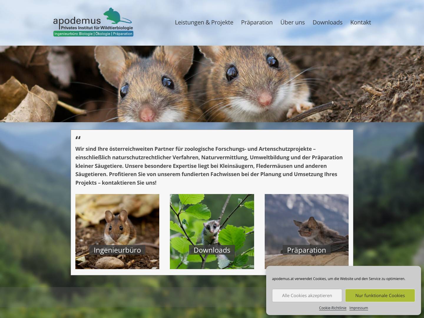 apodemus.at – apodemus – Privates Institut für Wildtierbiologie - Full Screenshot